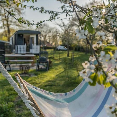 Bed and Breakfast Pipowagen Elsebein Groningen Westerwolde Unieke Ligging Met Eigen Tuin En Vrij Uitzicht Over Veld Naar Natuurgebied Onstwedde Zewnętrze zdjęcie