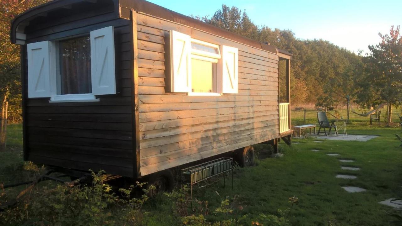 Pipowagen Elsebein Groningen Westerwolde Unieke Ligging Met Eigen Tuin En Vrij Uitzicht Over Veld Naar Natuurgebied Onstwedde Zewnętrze zdjęcie