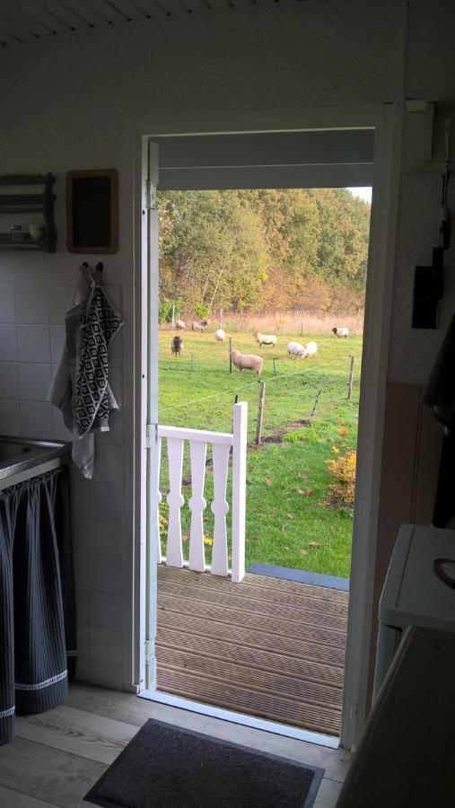 Pipowagen Elsebein Groningen Westerwolde Unieke Ligging Met Eigen Tuin En Vrij Uitzicht Over Veld Naar Natuurgebied Onstwedde Zewnętrze zdjęcie