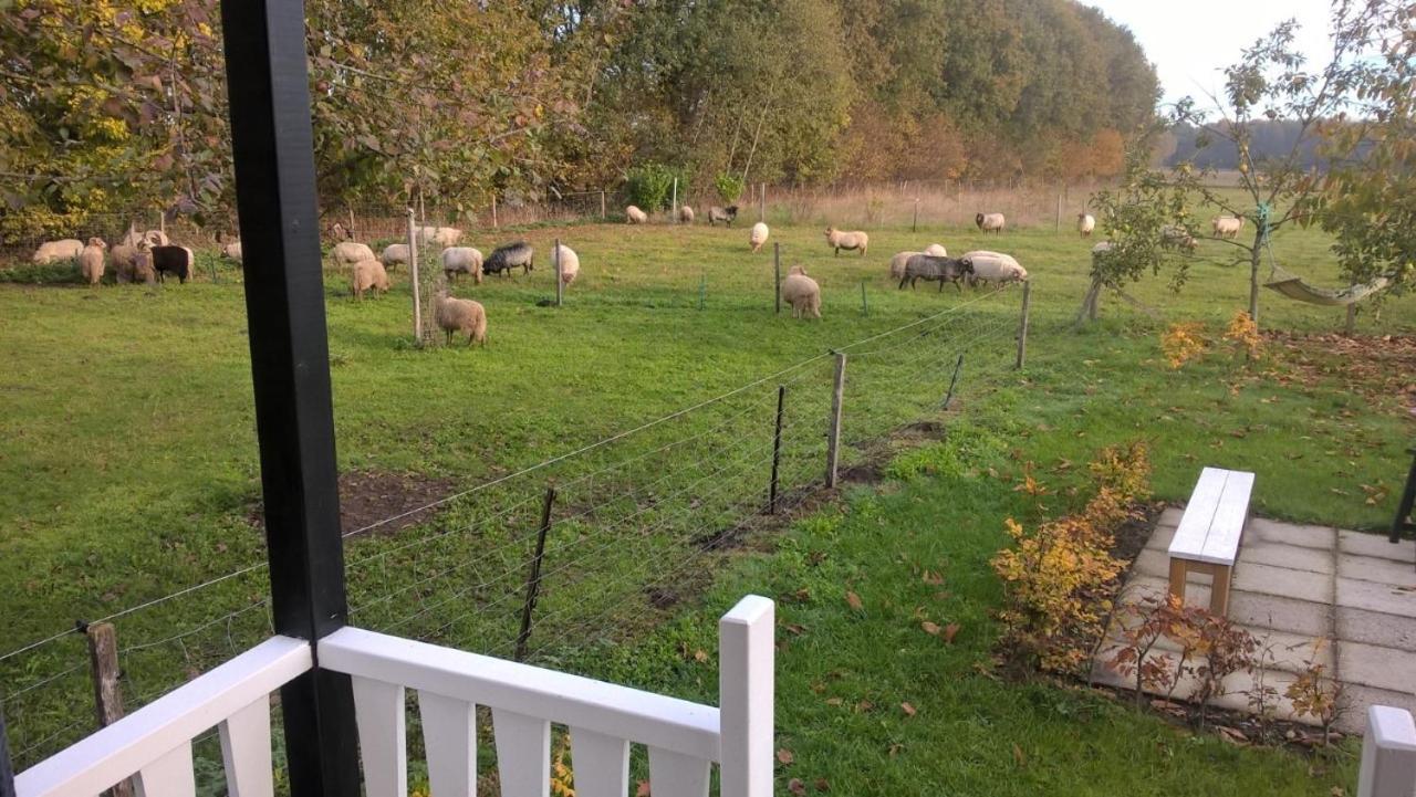 Bed and Breakfast Pipowagen Elsebein Groningen Westerwolde Unieke Ligging Met Eigen Tuin En Vrij Uitzicht Over Veld Naar Natuurgebied Onstwedde Zewnętrze zdjęcie