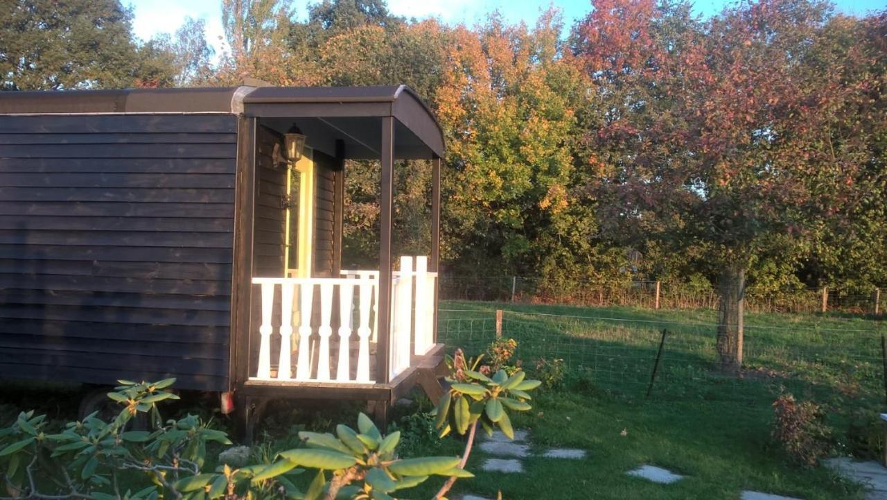 Pipowagen Elsebein Groningen Westerwolde Unieke Ligging Met Eigen Tuin En Vrij Uitzicht Over Veld Naar Natuurgebied Onstwedde Zewnętrze zdjęcie