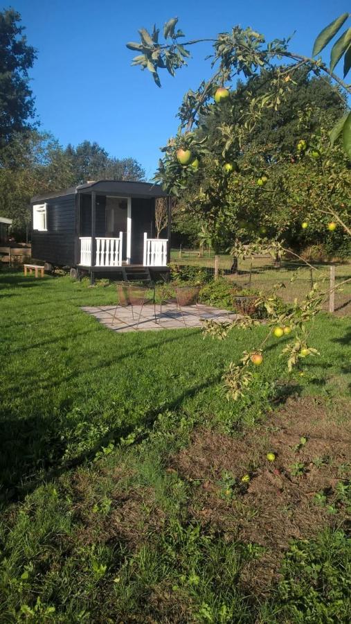 Pipowagen Elsebein Groningen Westerwolde Unieke Ligging Met Eigen Tuin En Vrij Uitzicht Over Veld Naar Natuurgebied Onstwedde Zewnętrze zdjęcie