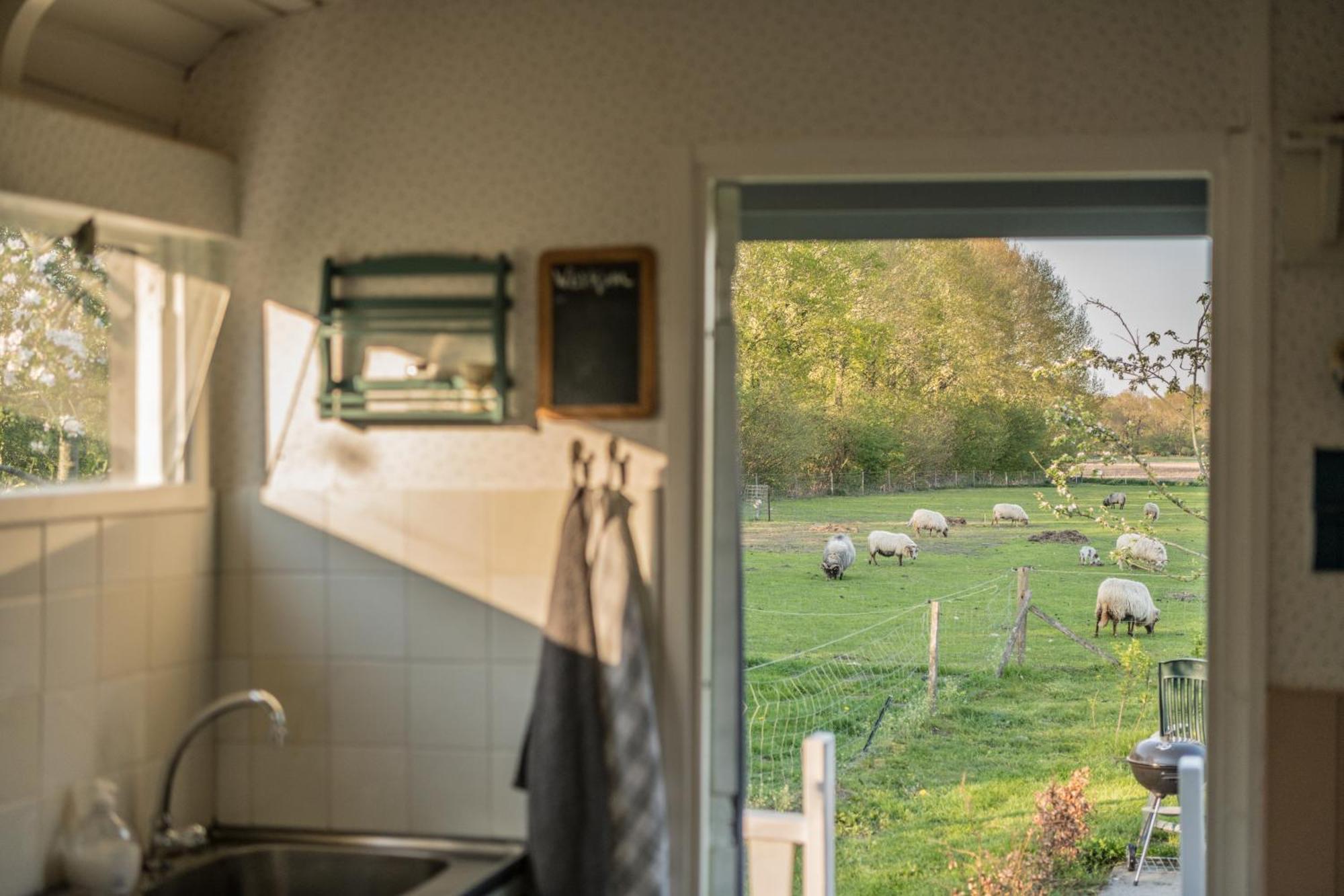 Bed and Breakfast Pipowagen Elsebein Groningen Westerwolde Unieke Ligging Met Eigen Tuin En Vrij Uitzicht Over Veld Naar Natuurgebied Onstwedde Zewnętrze zdjęcie