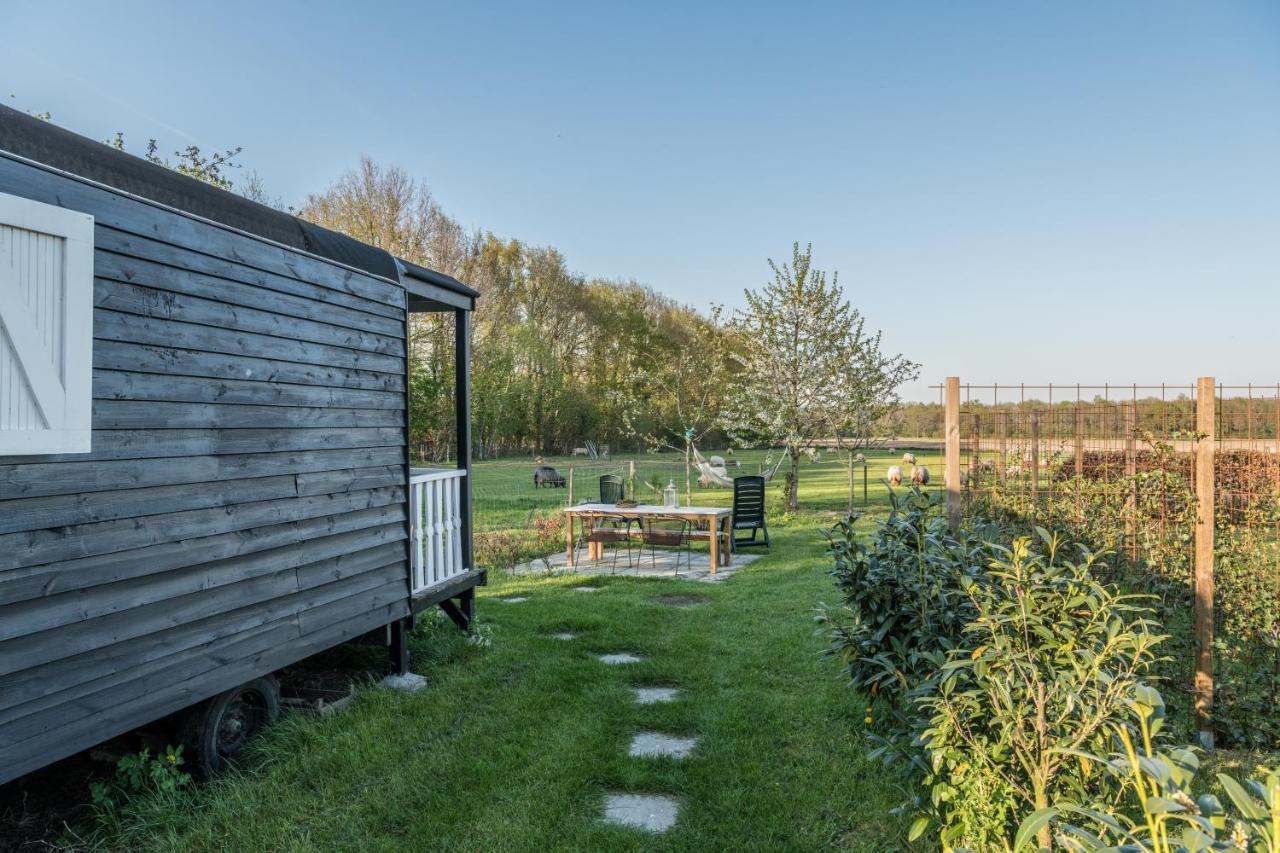 Pipowagen Elsebein Groningen Westerwolde Unieke Ligging Met Eigen Tuin En Vrij Uitzicht Over Veld Naar Natuurgebied Onstwedde Zewnętrze zdjęcie